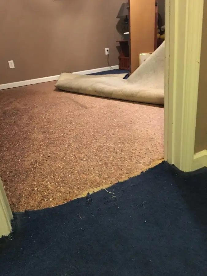 Carpet pad removal revealing water damage during Water Mitigation Services in Ontario