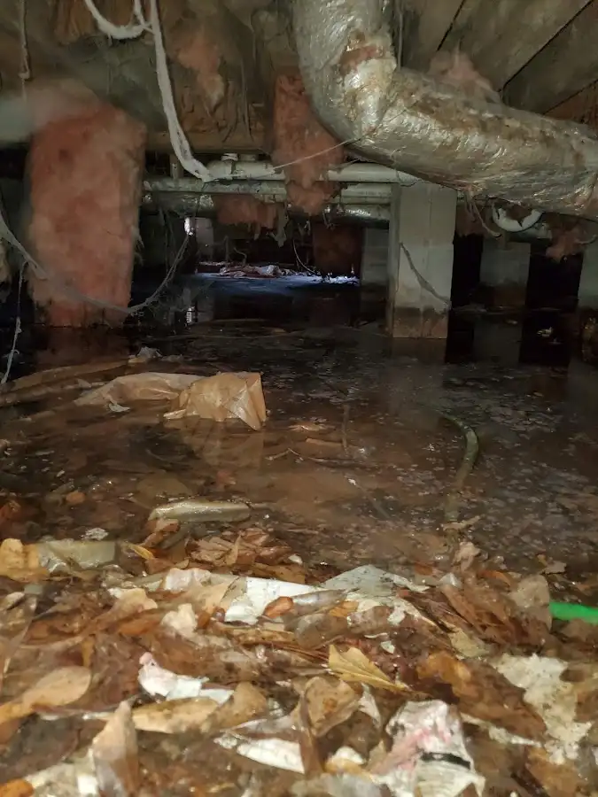 Crawl space flood assessment for Leak Detection & Repair in Ontario