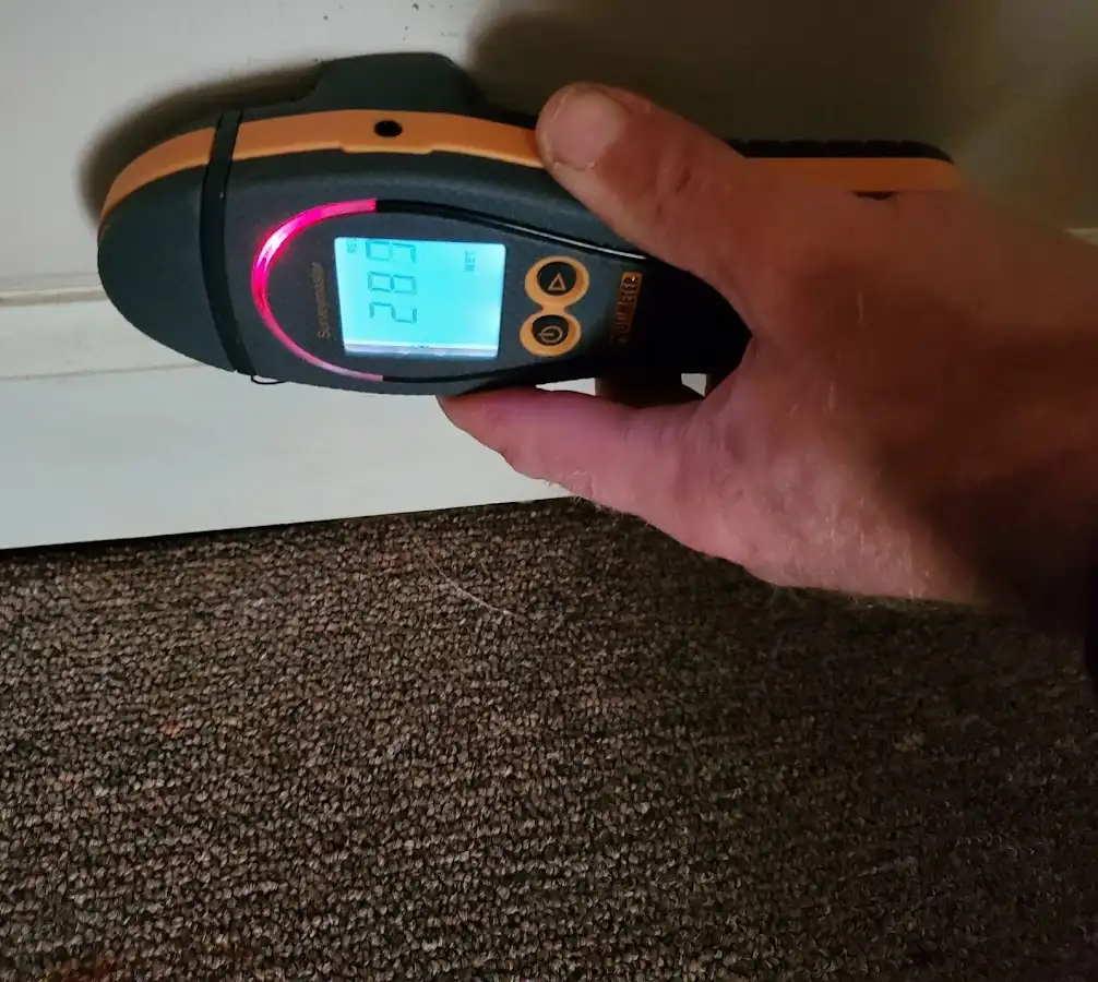 Moisture detection at baseboard during Sewage Cleanup & Sanitation in Ontario